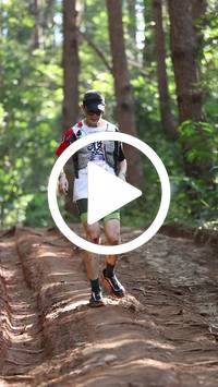 BIB:  <button type="button" onclick="openModal(26569658)" class="btn btn-primary btn-sm float-right" data-toggle="modal" data-target=".modal-high-quality">
                <i class="fa fa-download"></i> Download
                </button>